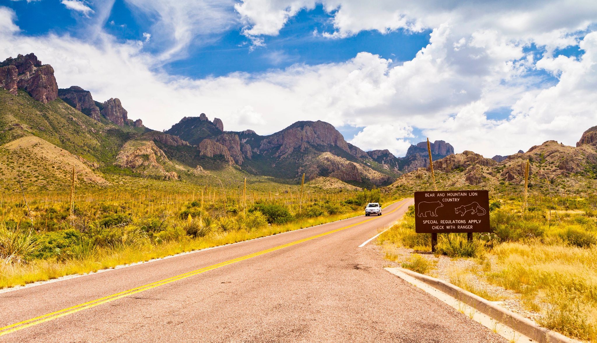 Envie de faire un road trip ? Nos meilleurs conseils pour une expérience inoubliable